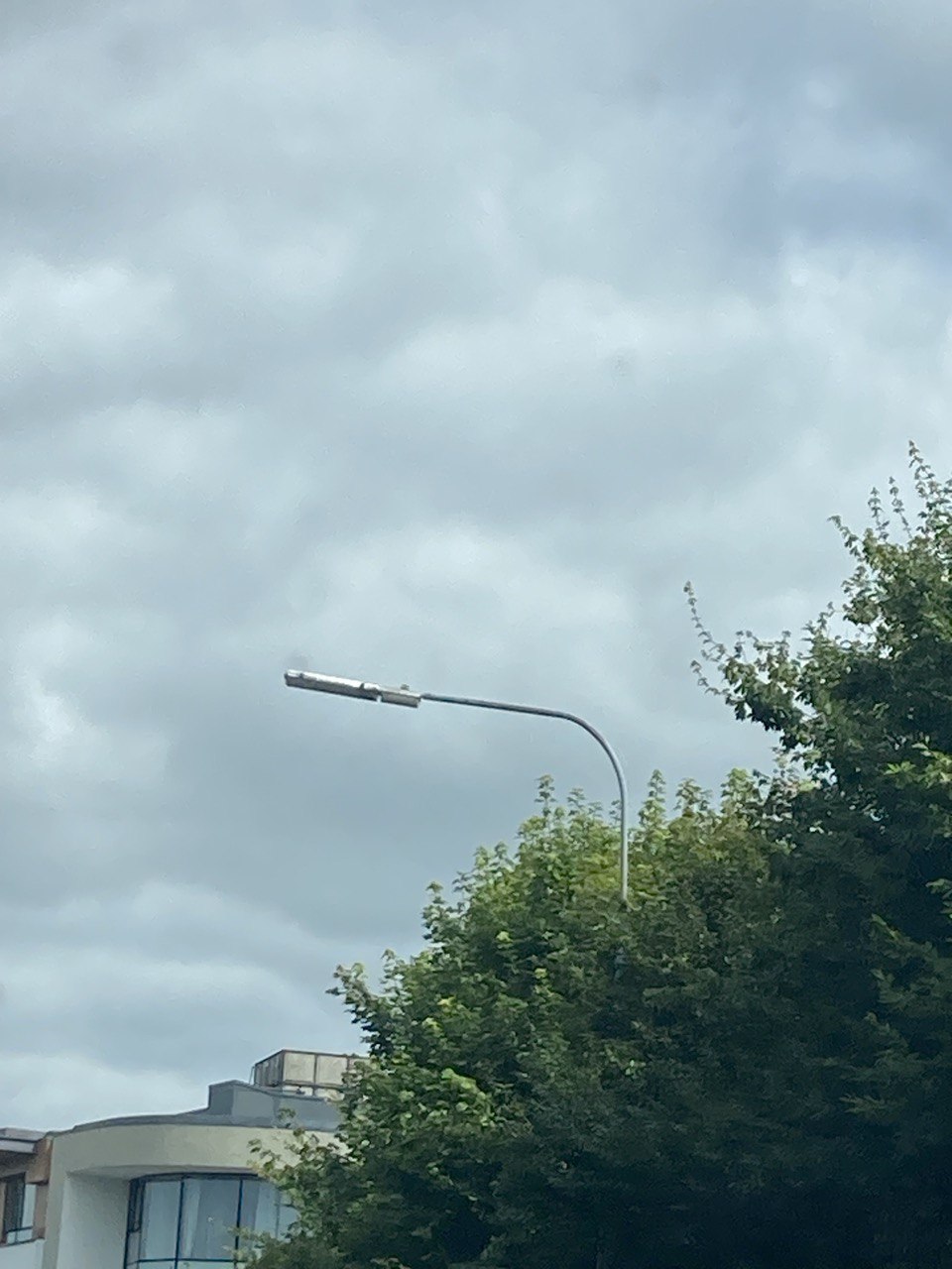 Alpha 4 on column